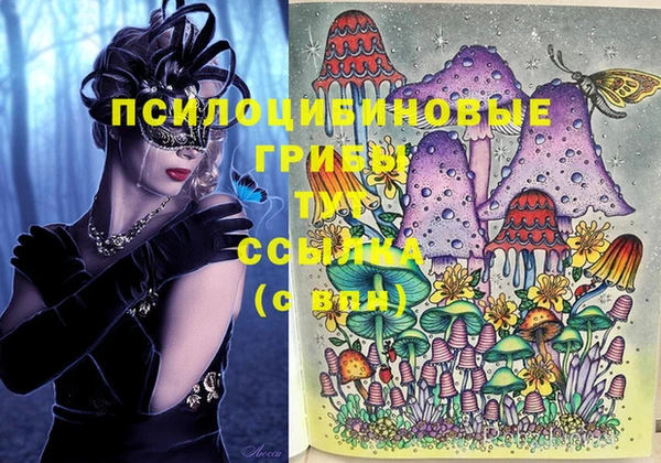 экстази Абаза